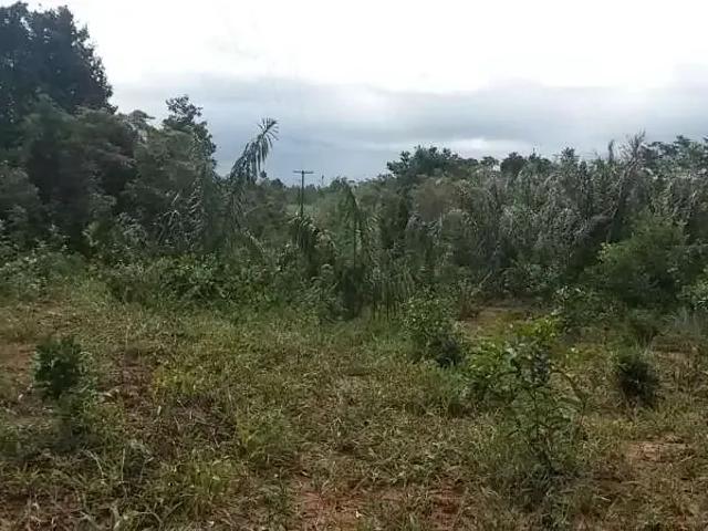 Terreno venda em Região Geográfica Imediata de Alagoinhas, Entre Rios