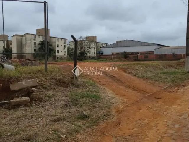 Terreno venda em Região Geográfica Imediata de Novo Hamburgo - São Leopoldo, Região Metropolitana de Porto Alegre