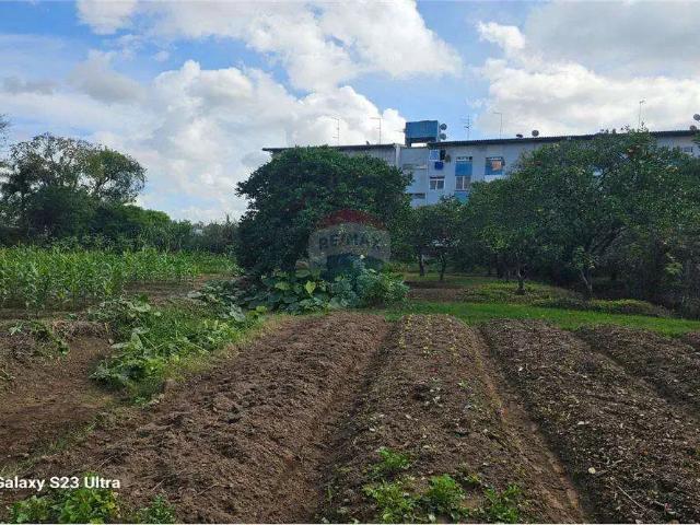 Terreno venda em Região Geográfica Imediata de Porto Alegre, Região Metropolitana de Porto Alegre