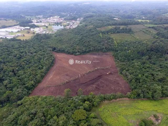Terreno venda em Região Geográfica Imediata de Caxias do Sul, Farroupilha