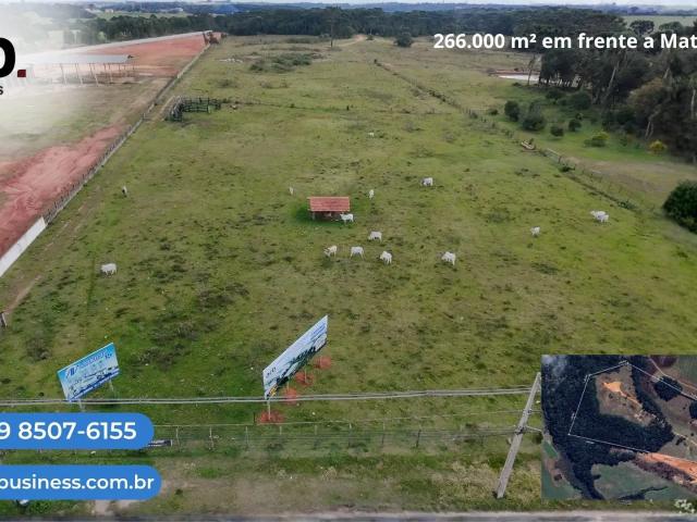Terreno venda em Região Geográfica Imediata de Curitiba, Região Metropolitana de Curitiba