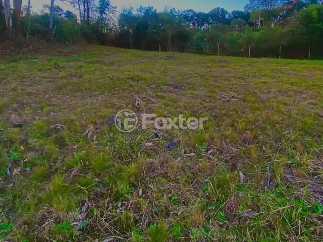 Terreno venda em Região Geográfica Imediata de Caxias do Sul, Flores da Cunha