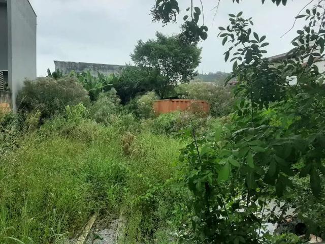 Terreno venda em Região Geográfica Imediata de Florianópolis, Desterro