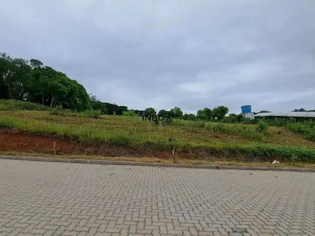 Terreno venda em Garibaldi