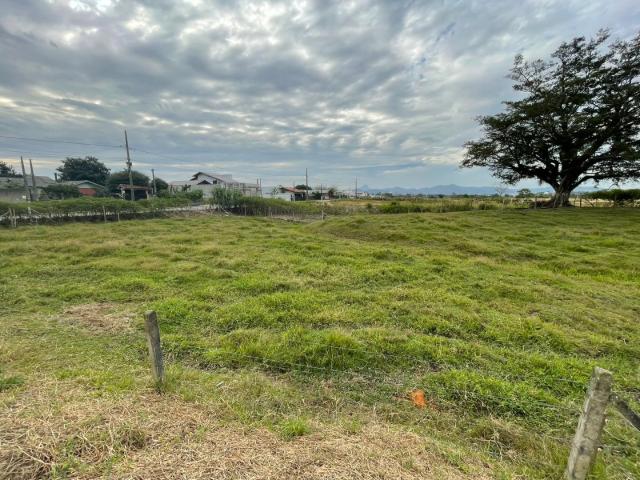 Terreno venda em Santa Terezinha, Gaspar
