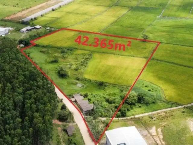 Terreno venda em Região Geográfica Imediata de Blumenau, Gaspar