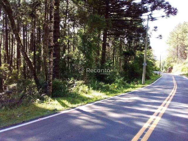 Terreno venda em Gramado