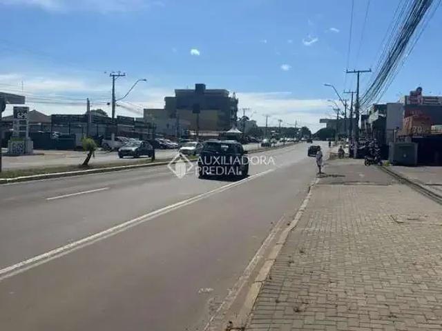 Terreno venda em Gravataí