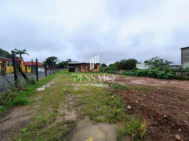 Terreno venda em Gravataí