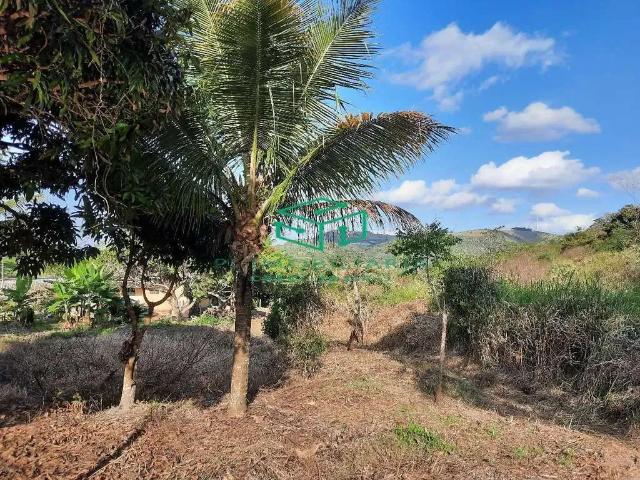 Terreno venda em Região Geográfica Imediata de Caruaru, Gravata