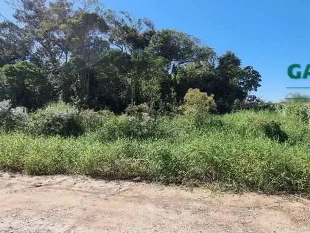 Terreno venda em Brejatuba, Guaratuba