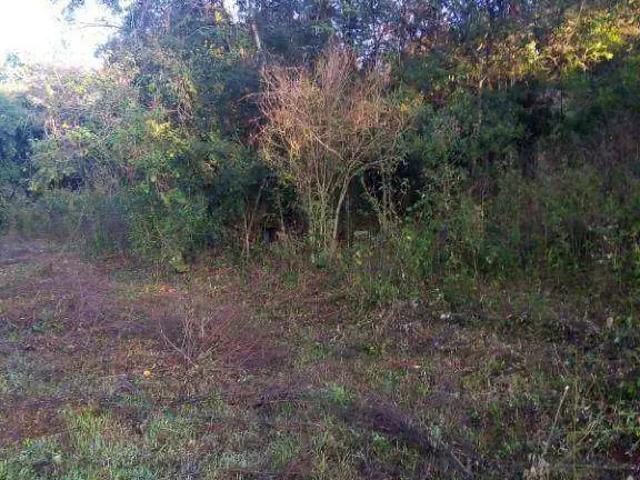 Terreno venda em Região Geográfica Imediata de Londrina, Ibiporã
