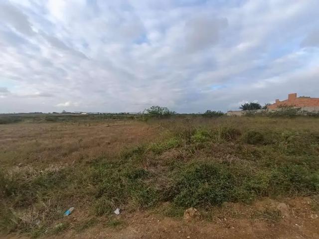 Terreno venda em Região Geográfica Imediata de Itabaiana, Itabaiana