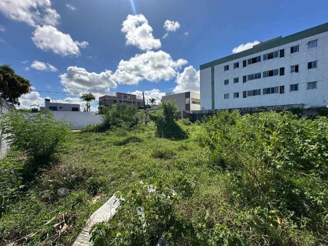 Terreno venda em Vila Espinhaço da Gata - Dom Helder - Nova Jerusalém, Jaboatão dos Guararapes