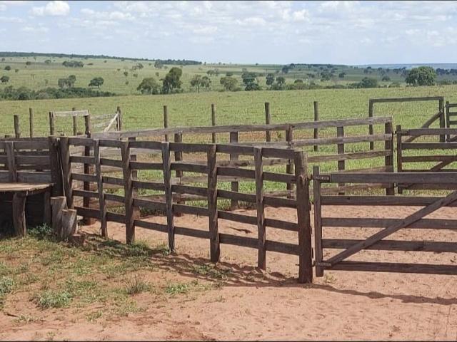 Terreno venda em Jaraguari