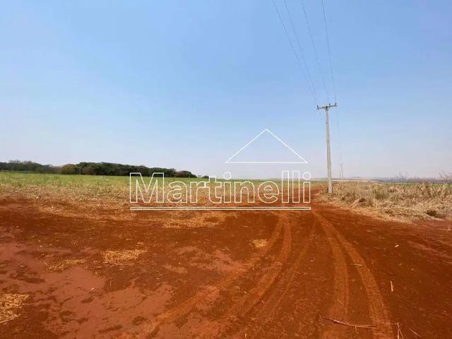 Terreno venda em Região Imediata de Ribeirão Preto, Região Metropolitana de Ribeirão Preto