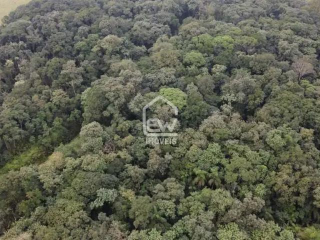 Terreno venda em Região Geográfica Imediata de Joinville, Joinville