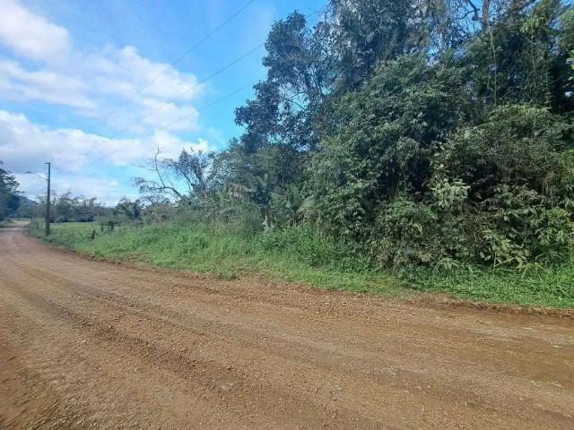 Terreno venda em Região Geográfica Imediata de Joinville, Joinville