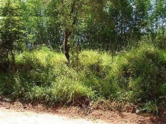 Terreno venda em Região Imediata de Jundiaí, Jundiaí