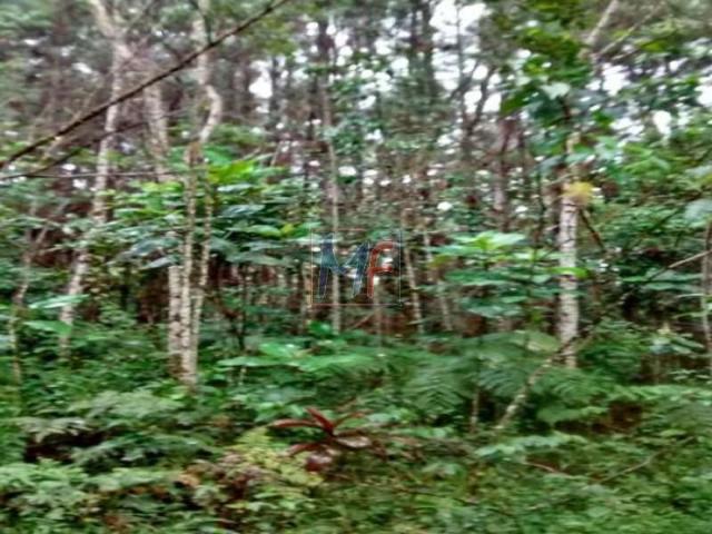 Terreno venda em Juquitiba, Barnabés