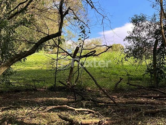 Terreno venda em Lajeado