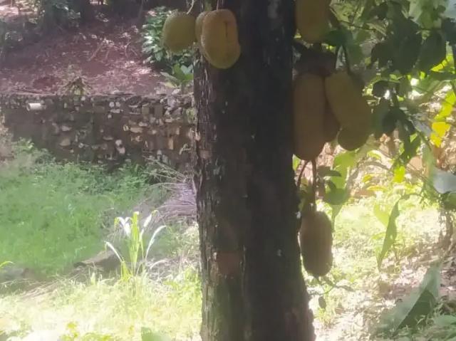 Terreno venda em Região Geográfica Imediata de Salvador, Região Metropolitana de Salvador