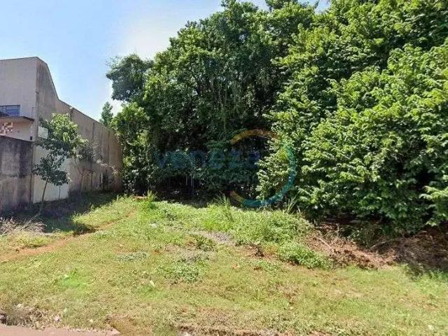 Terreno venda em Vila da Fraternidade, Londrina