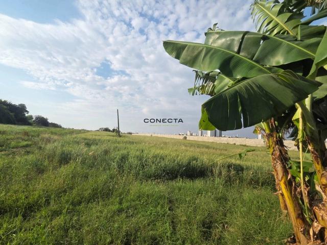 Terreno venda em Esperança, Londrina