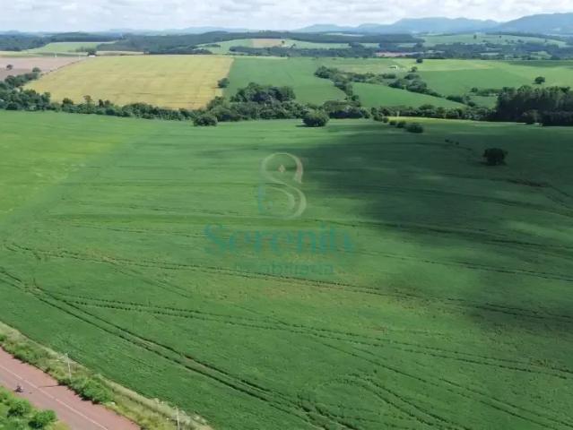 Terreno venda em Região Geográfica Imediata de Londrina, Londrina