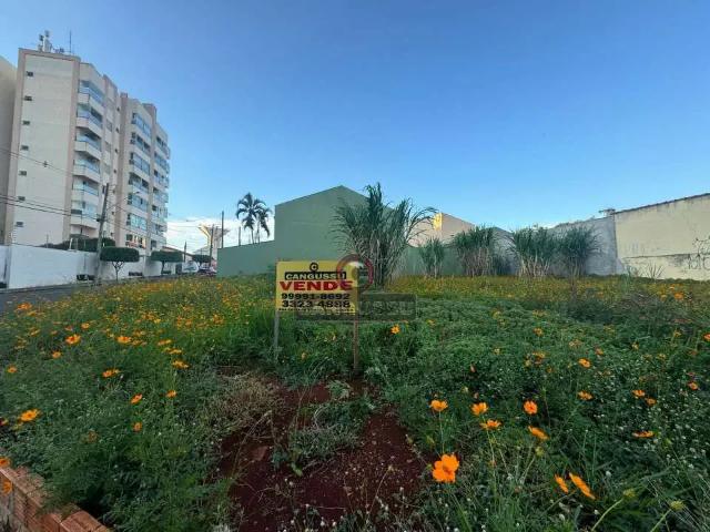 Terreno venda em Região Geográfica Imediata de Londrina, Londrina