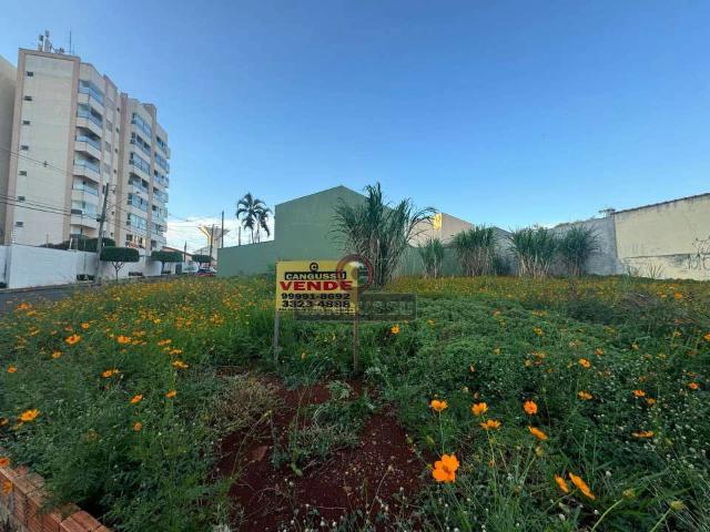 Terreno venda em Vila Casoni, Londrina