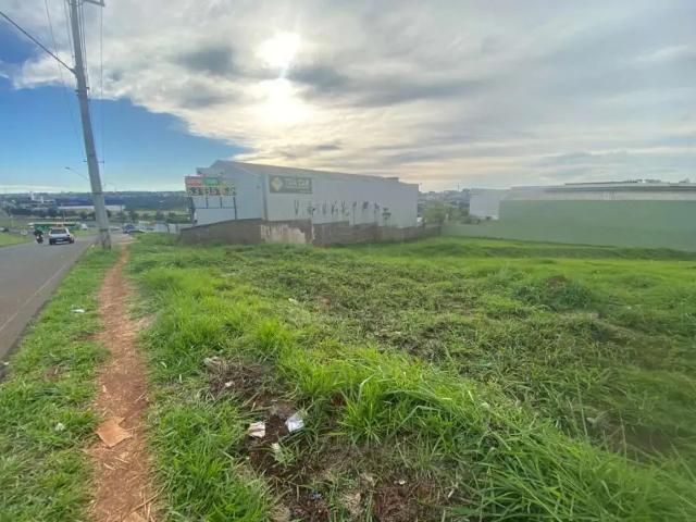 Terreno venda em Região Geográfica Imediata de Londrina, Londrina