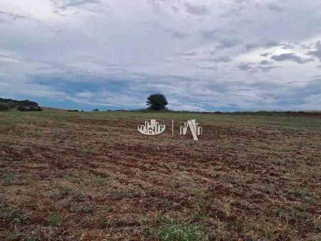Terreno venda em Região Geográfica Imediata de Londrina, Londrina