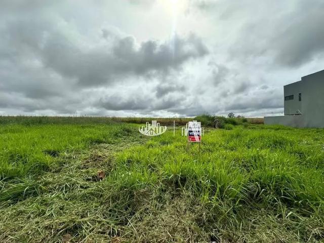Terreno venda em Região Geográfica Imediata de Londrina, Londrina