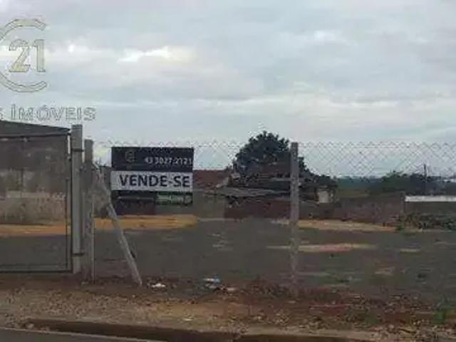 Terreno venda em Região Geográfica Imediata de Londrina, Londrina