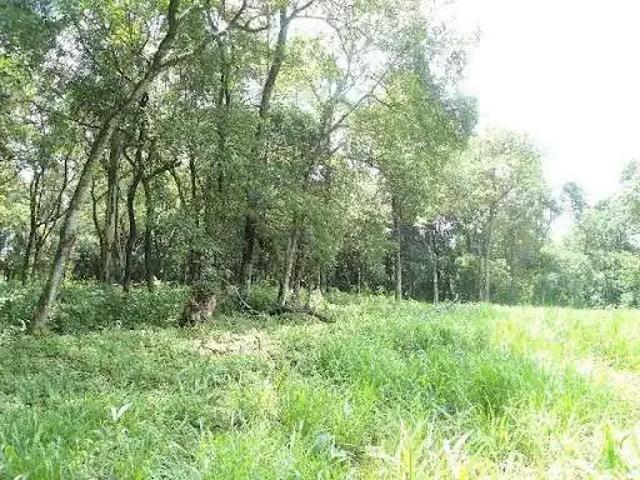 Terreno venda em Vila Pasti, Louveira
