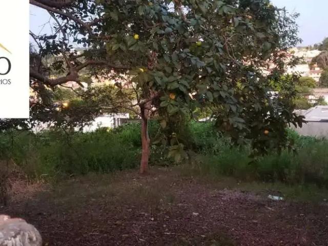 Terreno venda em Região Imediata de Jundiaí, Louveira