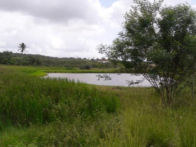 Terreno venda em Macaíba
