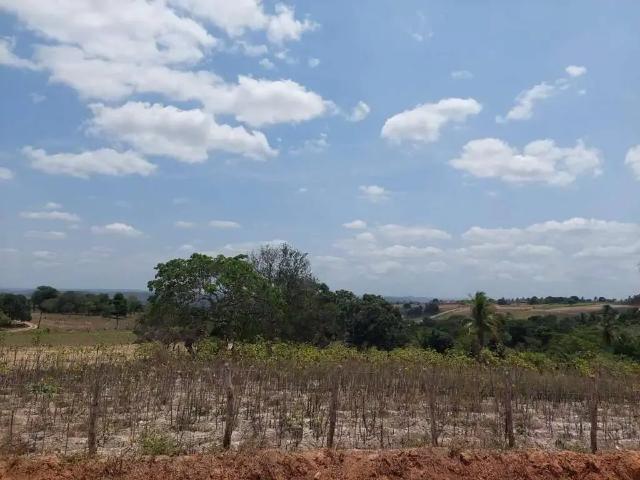 Terreno venda em Região Geográfica Imediata de Itabaiana, Malhador