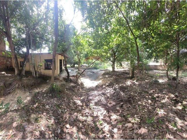 Terreno venda em Manaus, Região Geográfica Intermediária de Manaus
