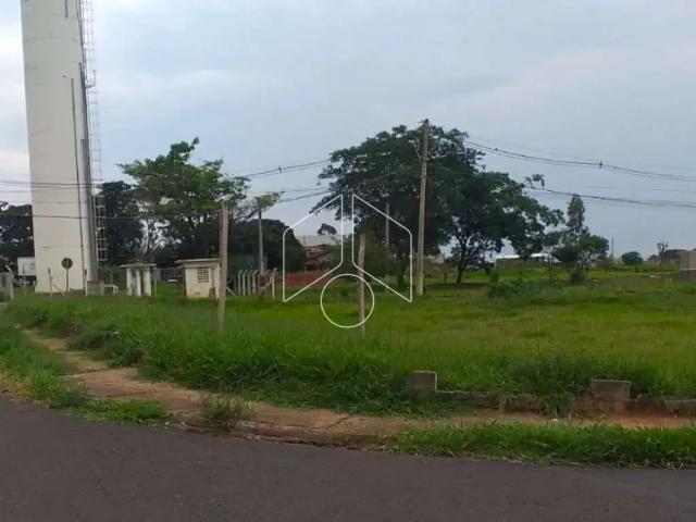 Terreno venda em Região Imediata de Marília, Marília