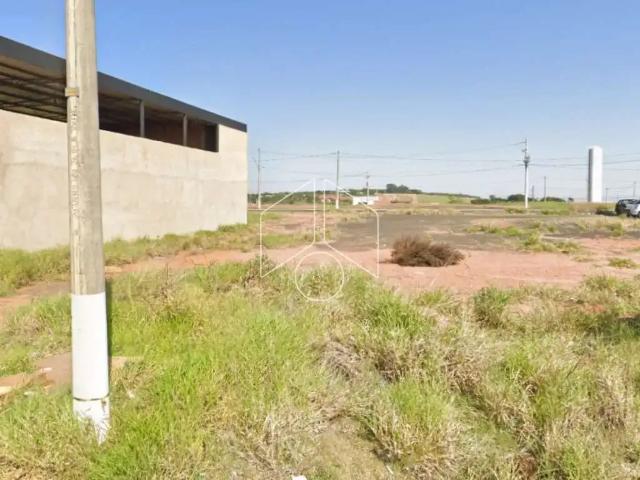 Terreno venda em Região Imediata de Marília, Marília