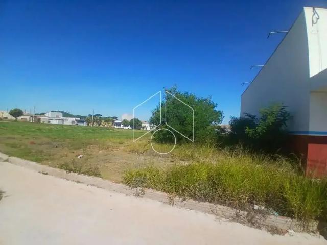 Terreno venda em Região Imediata de Marília, Marília