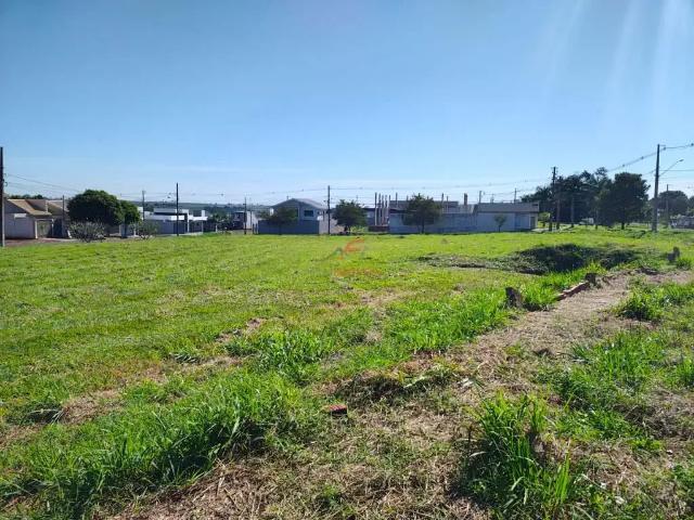 Terreno venda em Região Geográfica Imediata de Maringá, Maringá