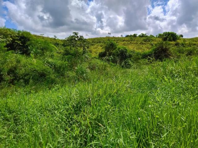 Terreno venda em Região Geográfica Imediata do Recife, Região Metropolitana do Recife