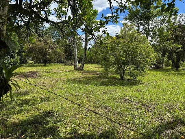 Terreno venda em Região Geográfica Imediata de Paranaguá, Morretes