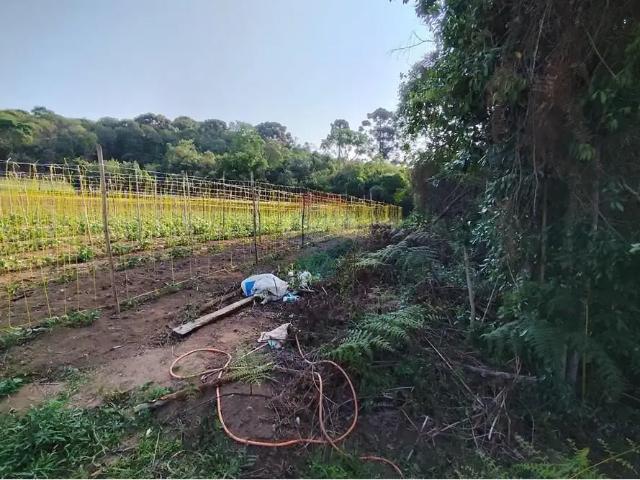 Terreno venda em Região Geográfica Imediata de Pouso Alegre, Munhoz