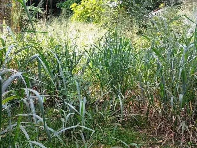 Terreno venda em Região Geográfica Imediata do Rio de Janeiro, Região Metropolitana do Rio de Janeiro
