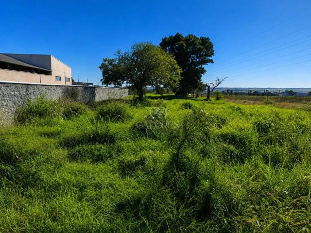 Terreno venda em Nova Londrina, Região Geográfica Intermediária de Maringá