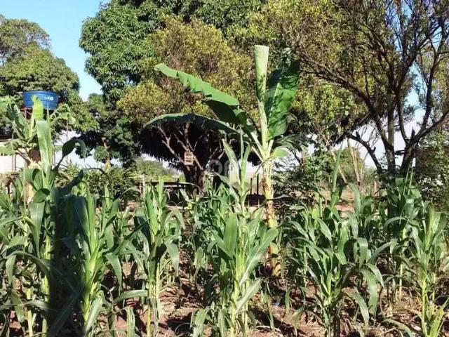 Terreno venda em Região Imediata de Campinas, Região Metropolitana de Campinas